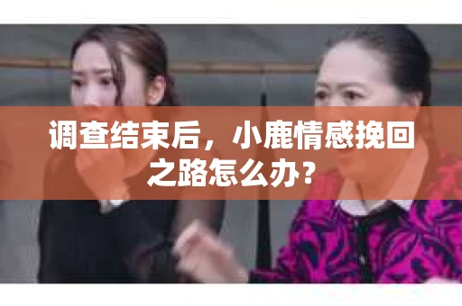 调查结束后，小鹿情感挽回之路怎么办？