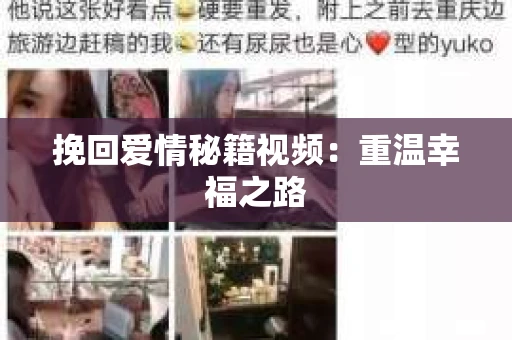 挽回爱情秘籍视频：重温幸福之路
