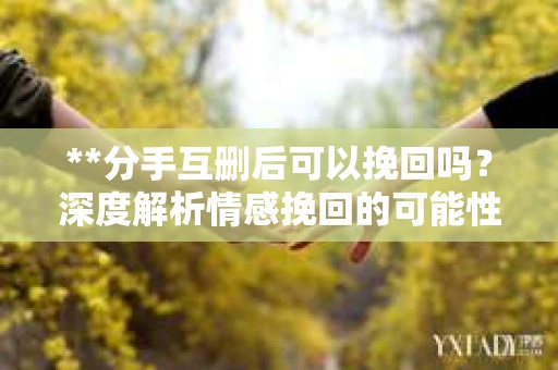 **分手互删后可以挽回吗？深度解析情感挽回的可能性**