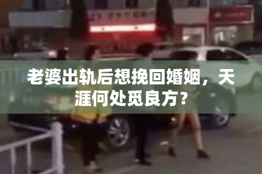 老婆出轨后想挽回婚姻，天涯何处觅良方？