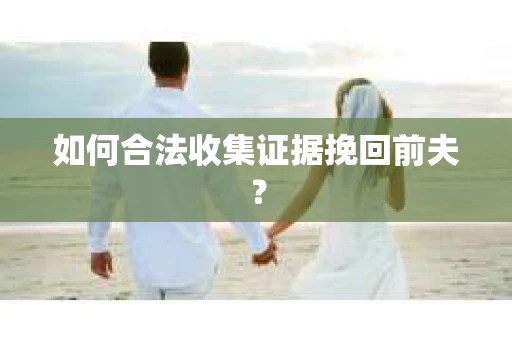 如何合法收集证据挽回前夫？