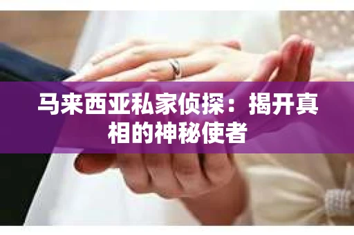 马来西亚私家侦探：揭开真相的神秘使者