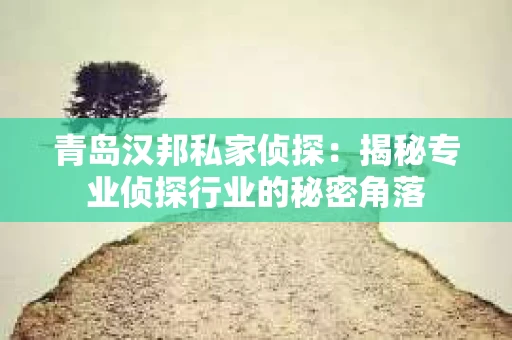 青岛汉邦私家侦探：揭秘专业侦探行业的秘密角落