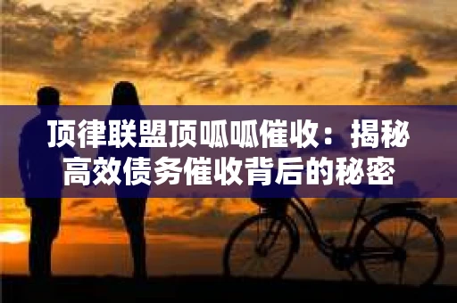 顶律联盟顶呱呱催收：揭秘高效债务催收背后的秘密
