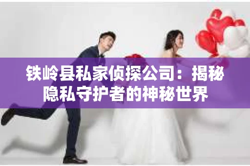 铁岭县私家侦探公司：揭秘隐私守护者的神秘世界