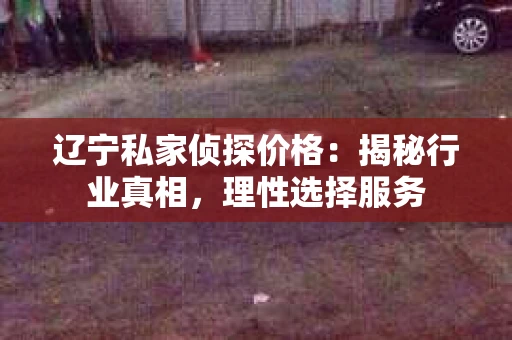 辽宁私家侦探价格：揭秘行业真相，理性选择服务
