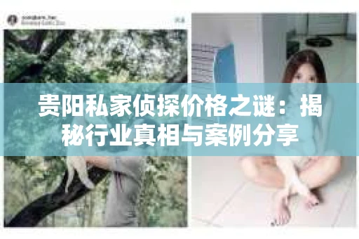 贵阳私家侦探价格之谜：揭秘行业真相与案例分享