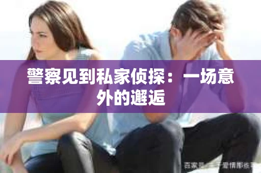 警察见到私家侦探：一场意外的邂逅