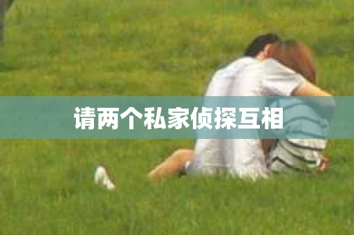 请两个私家侦探互相