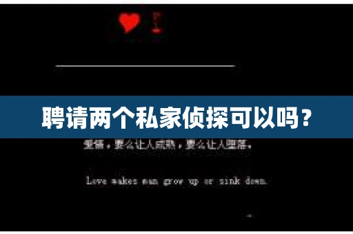 聘请两个私家侦探可以吗？