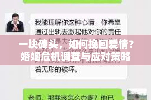一块砖头，如何挽回爱情？婚姻危机调查与应对策略