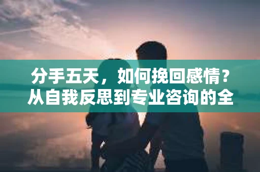 分手五天，如何挽回感情？从自我反思到专业咨询的全面解决方案